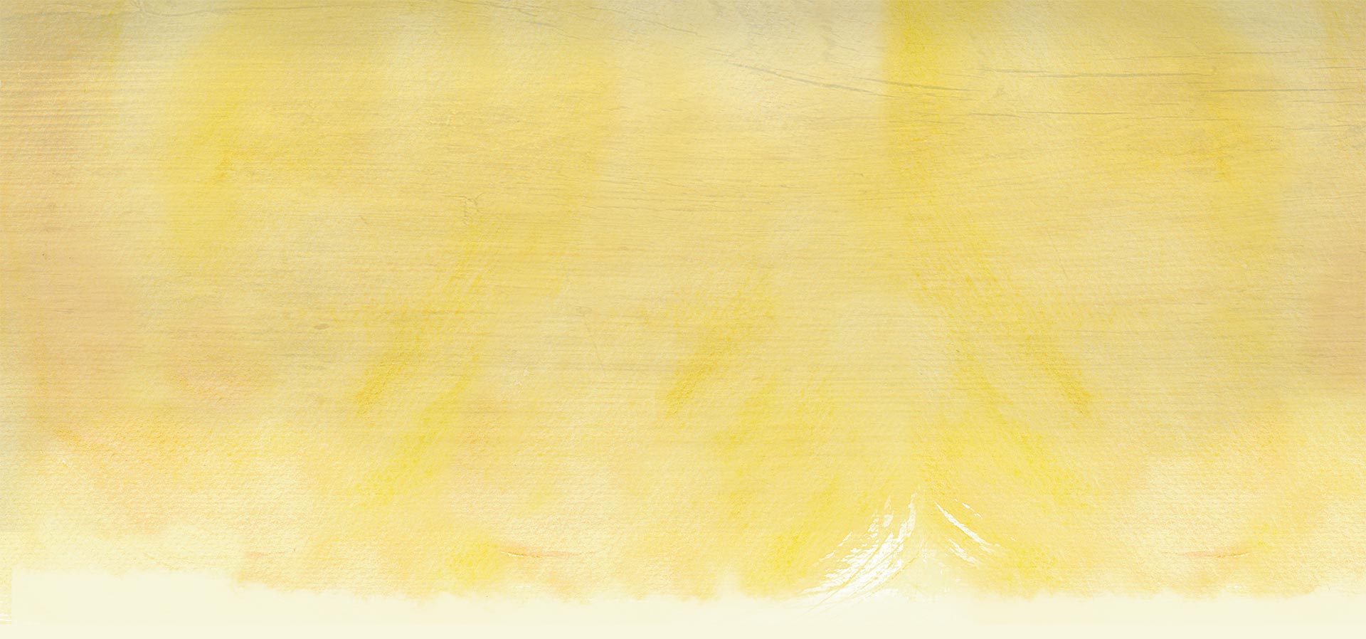 bg banner slider